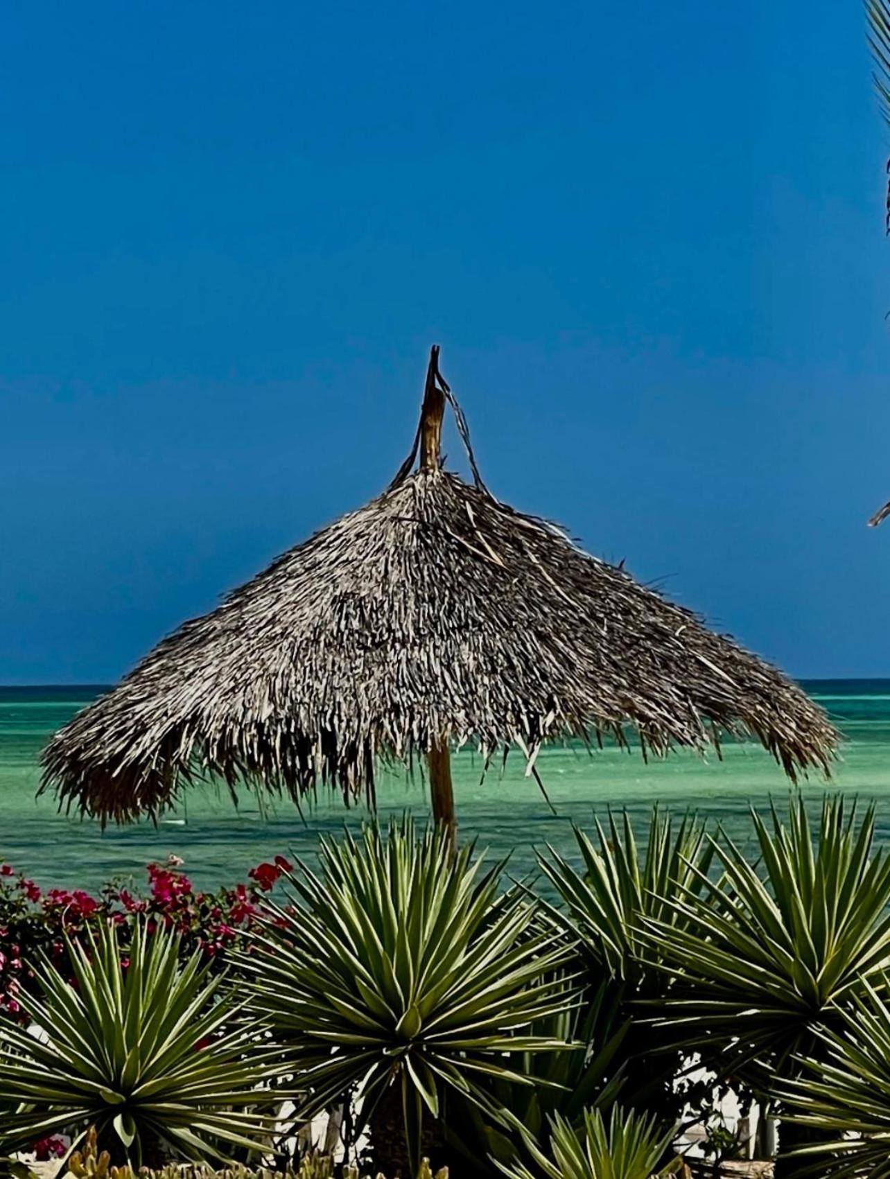 Shira House Bed & Breakfast Watamu Luaran gambar