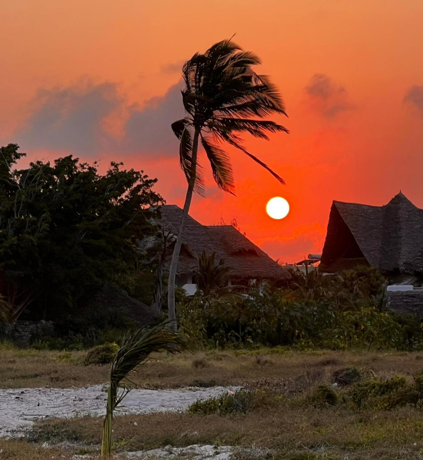 Shira House Bed & Breakfast Watamu Luaran gambar